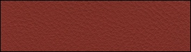206x204