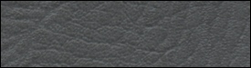 207x1009