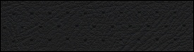 207x1456