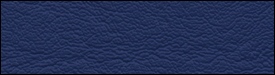 207x729