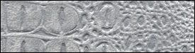 224x3030