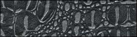 224x3031
