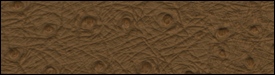 332x2801