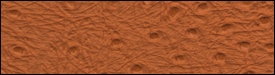 332x2803