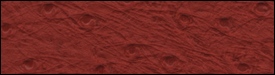 332x2804