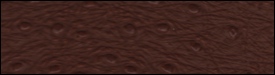 332x2806