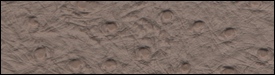 332x2807