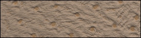 332x2809
