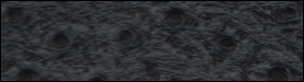 332x2813