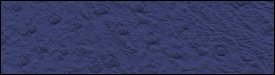 332x3278
