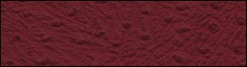 332x3279
