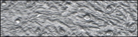 332x3281