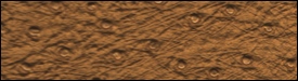 332x3283