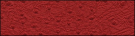 332x3292